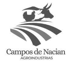 captura de pantalla 2026 04 09 124848